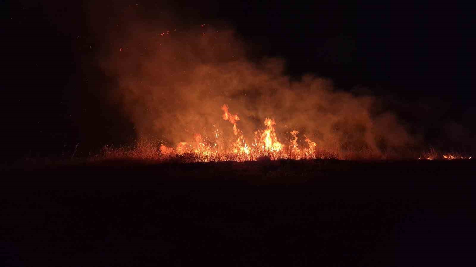 Adıyaman’da korkutan anız yangını