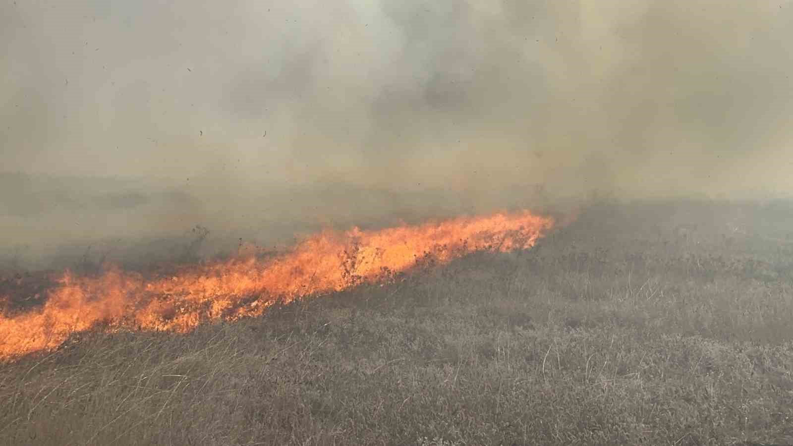 Tekirdağ’da mera yangını