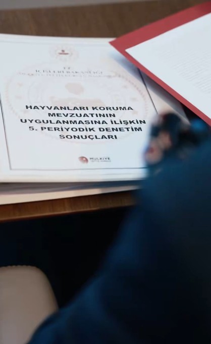 Bakan Çiftçi: "Vatandaşımızın güvenliğini korurken sahipsiz hayvanlarımızın bakımını ve refahını da gözeteceğiz"