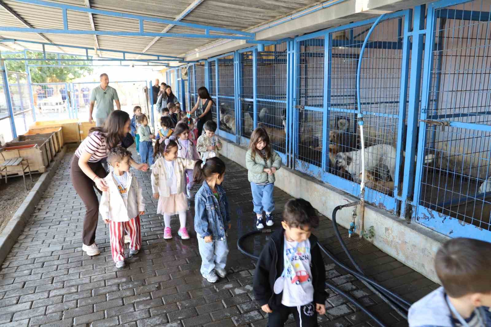 Nazilli’de minik öğrenciler can dostlarla bir araya geldi