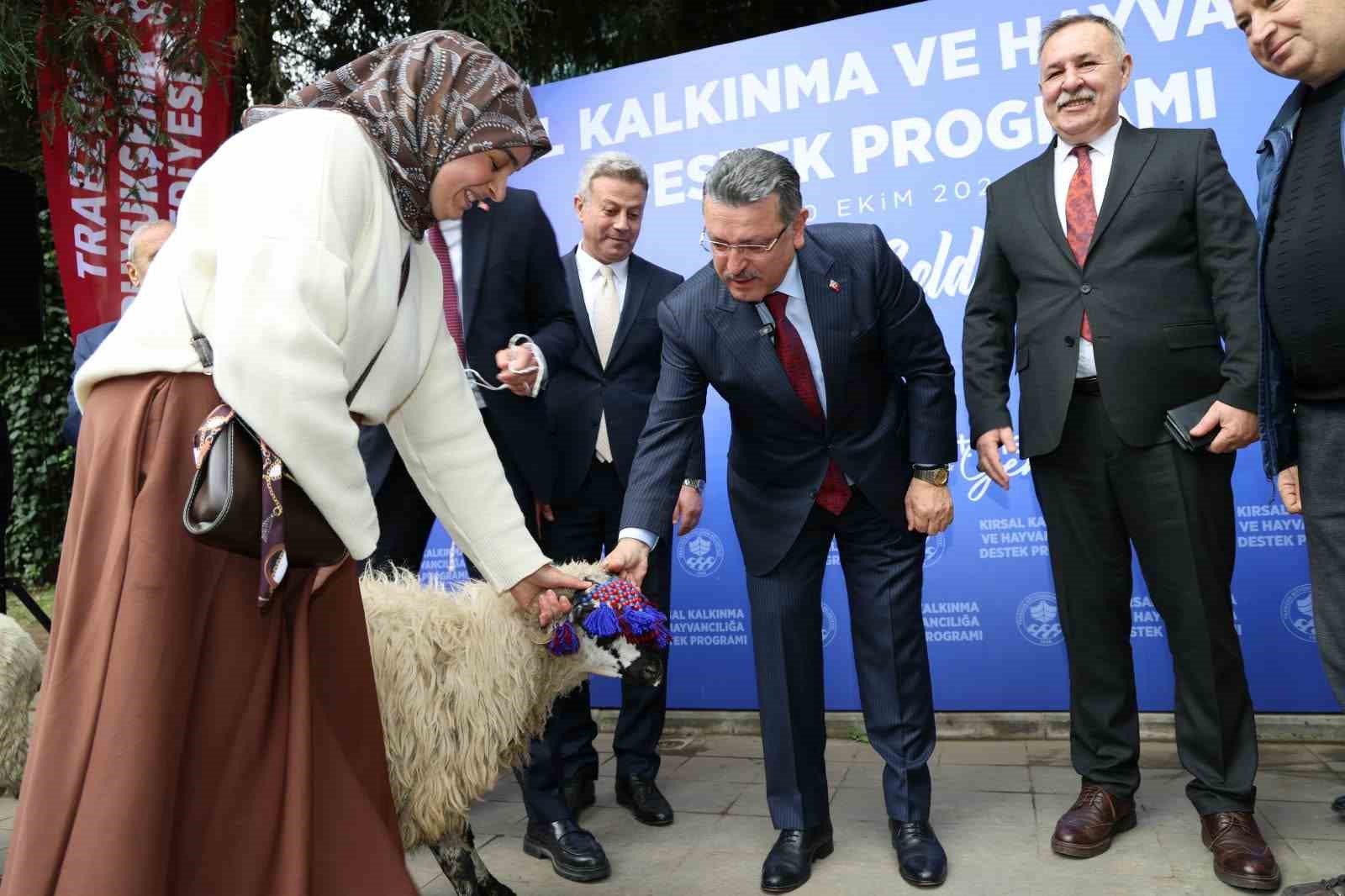Trabzon'da Üreticiye Can Suyu: Yüzde 90 Hibeli Karayaka Koyunları Sahipleriyle Buluştu