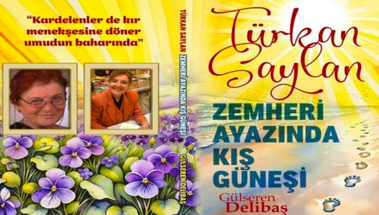 Zemheri Ayazında Kış Güneşi