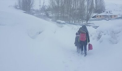 Bingöl ve Tunceli’de kar yağışı nedeniyle taşımalı eğitime 1 gün ara verildi