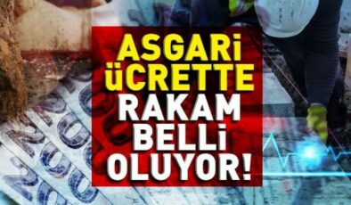 Son Dakika Asgari Ücret | Bakan Işıkhan açıkladı, 2025 yılı Asgari ücret belli oldu!