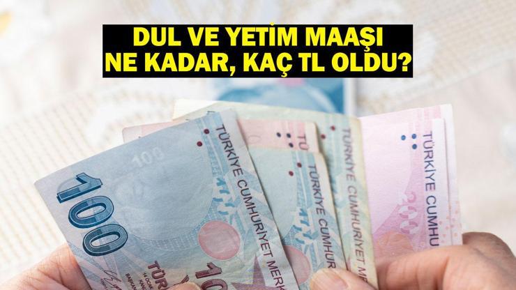 Dul ve yetim maaşı ne kadar, kaç TL oldu?