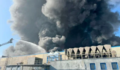 Kırklareli’nde fabrika yangını