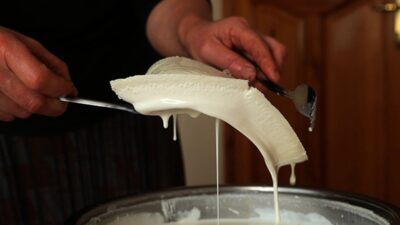 Avrupa Birliği Komisyonu’nun Gıda ve Yemler İçin Hızlı Alarm Sistemi’nin