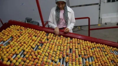 Malatya Ticaret Borsası Başkanı Ramazan Özcan, kayısının Avrupa Birliği (AB)