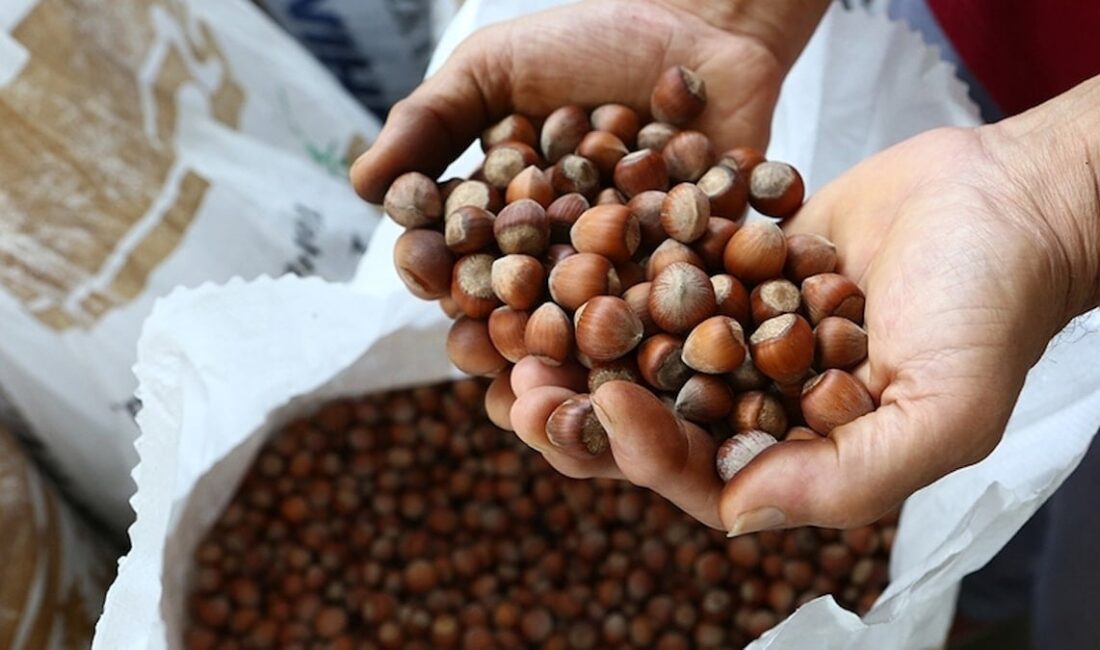 Bölük, son haftalarda 130-135 lira arasında durağan bir seyir izleyen
