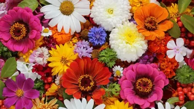 Yaz mevsimi gelmek üzere. Peki, bu muhteşem mevsimi daha da