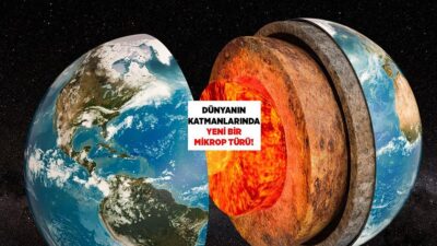  Bu mikroorganizmalar, yeraltı suyunda, toprakta ve kaya ile toprak arasındaki