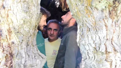 HAKKARİ’nin Durankaya beldesindeki asırlık ceviz ağacı, gövdesindeki geniş kovukla ilgi