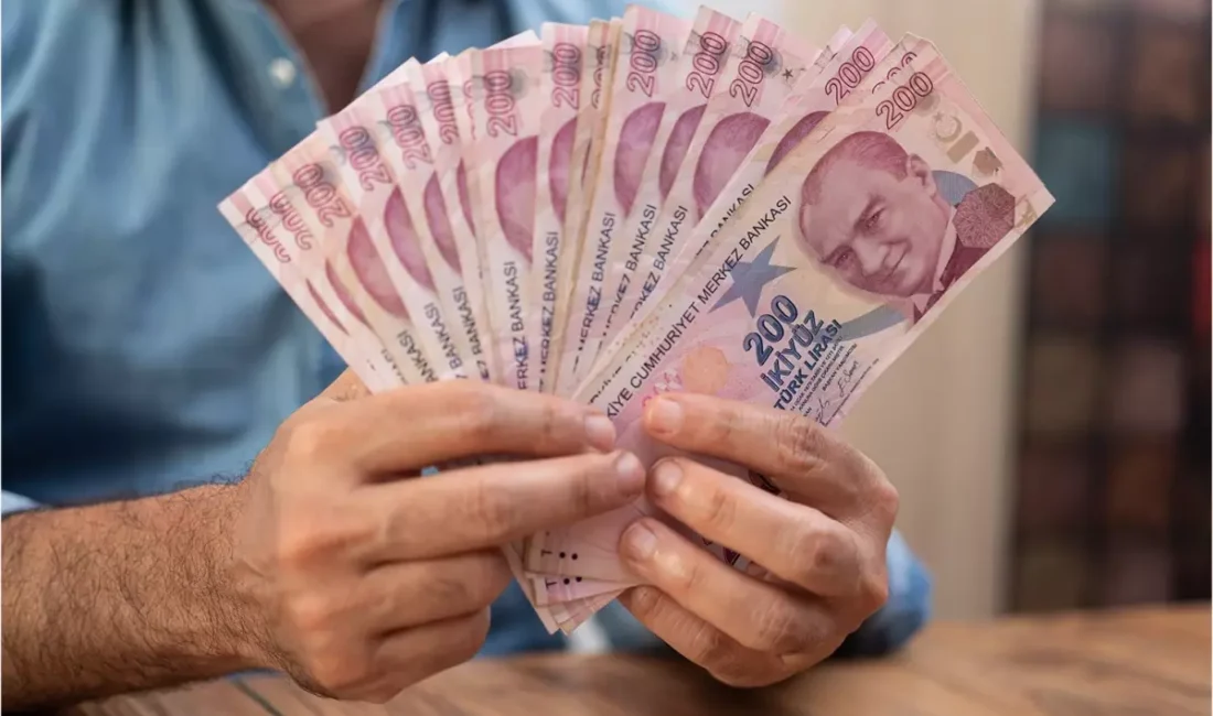 OECD’nin geçen hafta açıkladığı “Türkiye İnceleme Raporu”nun yazarları arasında yer