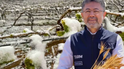 Yurt genelinde etkili olan soğuk hava ve kar yağışının ardından