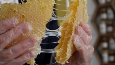 GAZETE İLKE ÖZEL: Mustafa Camuzcu Paris’teki Prestijli Yarışmada Bitlis Balı