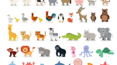 Dünya Üzerindeki En Zengin Doğa: Brezilya Hayvan Türlerinde Zirvede Mustafa