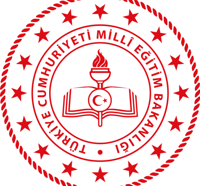 Millî Eğitim Bakanlığı (MEB), güzel sanatlar liseleri, spor liseleri ile