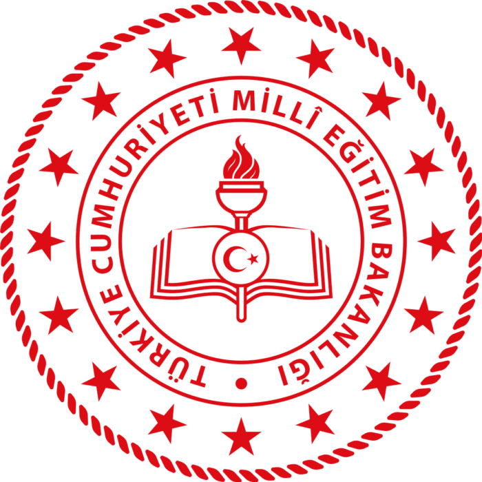 Millî Eğitim Bakanlığı (MEB), güzel sanatlar liseleri, spor liseleri ile