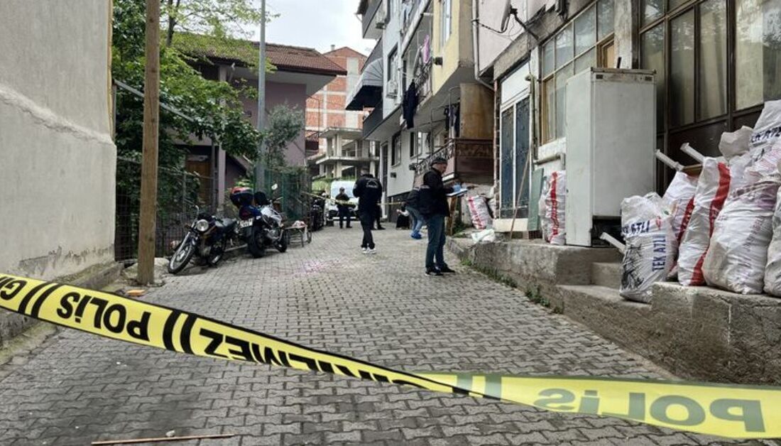 KAN DONDURAN CİNAYET: MİRAS KAVGASI KANLI BİTTİ! ABİ, KARDEŞİNİ TÜFEKLE