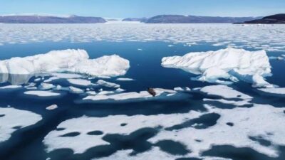 İklim değişikliğinin yıkıcı etkileri her geçen gün daha somut hale