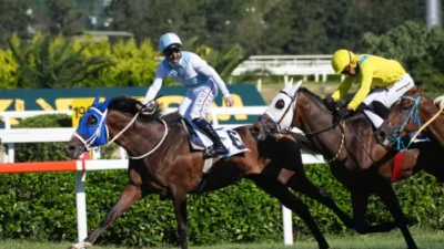 Türk at yarışçılığının en büyük ve prestijli yarışı olan Gazi