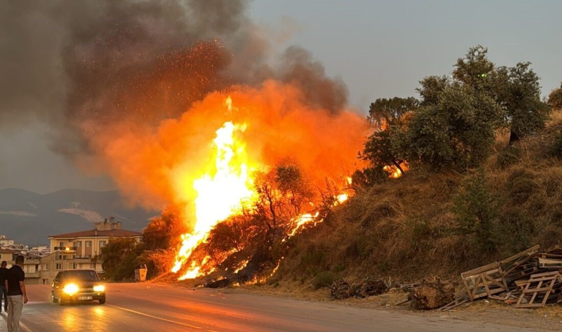 Muğla’nın Bodrum ilçesinde, dün akşam bir düğün konvoyu sırasında yakılan