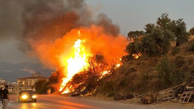 Muğla’nın Bodrum ilçesinde, dün akşam bir düğün konvoyu sırasında yakılan
