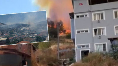 Bursa, Osmangazi ilçesi Demirtaş Mahallesi’nde zeytin ağaçlarının da bulunduğu makilik