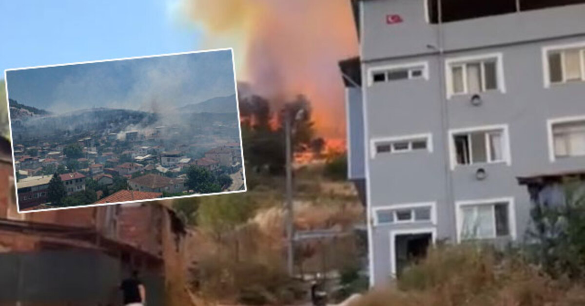 Bursa, Osmangazi ilçesi Demirtaş Mahallesi’nde zeytin ağaçlarının da bulunduğu makilik