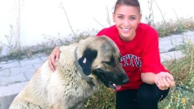 Elazığ’da sahipsiz sokak hayvanlarına özel mülkünde gönüllü olarak bakan Tuğba