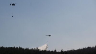 İzmir’in Aliağa ilçesinde, Bozköy ile Foça Ilıpınar arasındaki ormanlık alanda