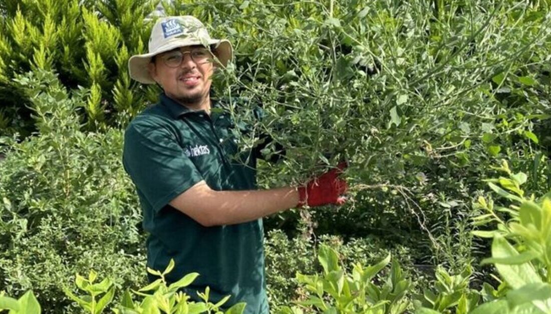 Bursa’nın Orhangazi ilçesinde sabah saatlerinde yaşanan trajik olay, Sakarya Uygulamalı