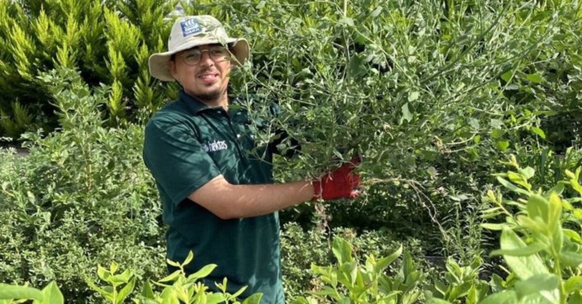 Bursa’nın Orhangazi ilçesinde sabah saatlerinde yaşanan trajik olay, Sakarya Uygulamalı
