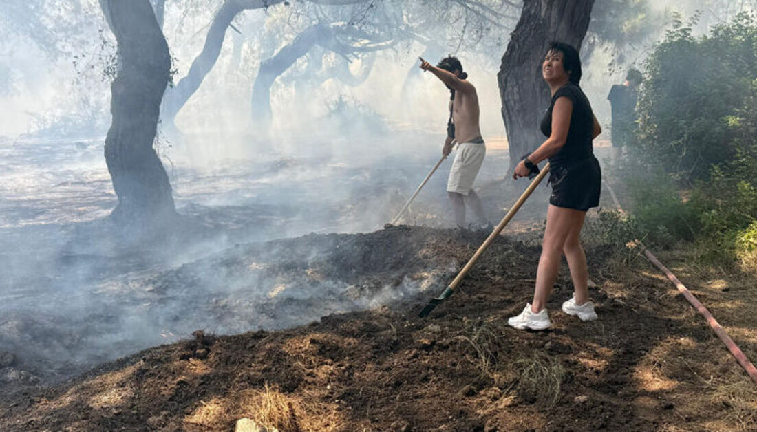 Antalya’nın Muratpaşa ilçesi Ermenek Mahallesi’nde saat 10.30 sıralarında başlayan orman