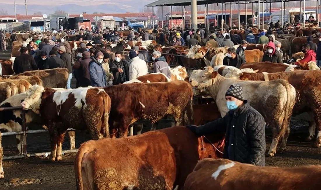 Türkiye genelindeki tüm hayvan pazarları, Tarım ve Orman Bakanlığı tarafından