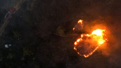 Tarım ve Orman Bakanı İbrahim Yumaklı, ülke genelinde devam eden