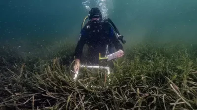 Ankara, 12 Ağustos – Çevre, Şehircilik ve İklim Değişikliği Bakanlığı,