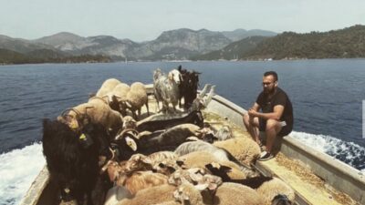 FETHİYE – Hayvancılık ve restoran işletmeciliği yapan Murat Karacabey, hayvanlarının