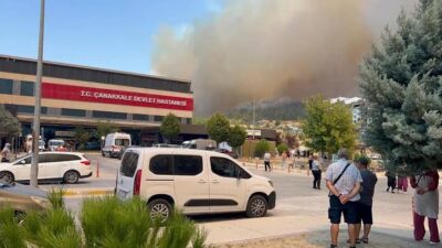 8 Ağustos 2025 tarihinde başlayan ve kısa sürede büyüyen orman