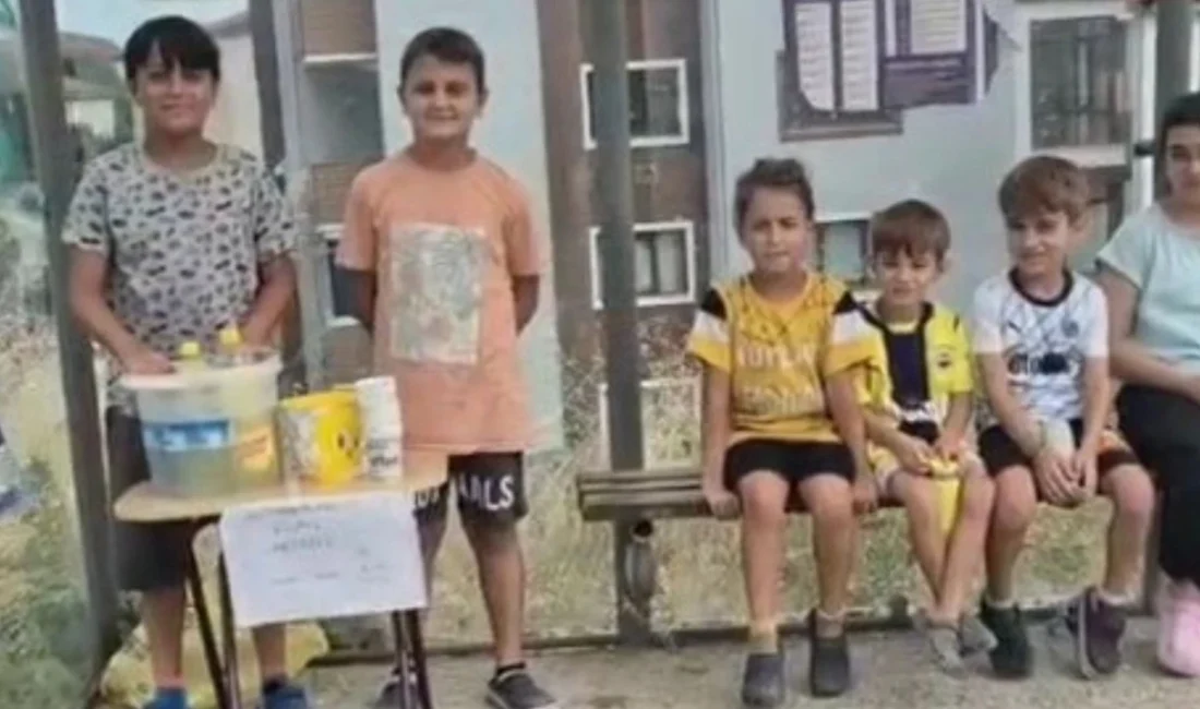 Karabük‘te çocuklar, geçtiğimiz haftalarda çıkan orman yangınlarında zarar gören alanları