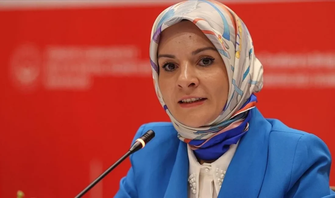 Aile ve Sosyal Hizmetler Bakanlığının destek ve korumasında olan gençlerden