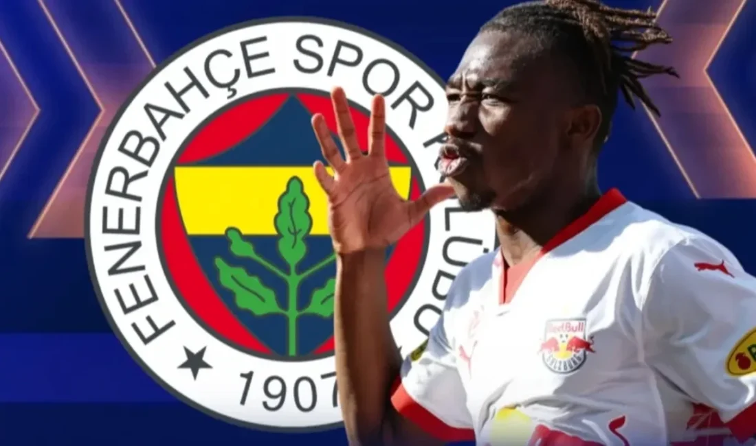 Fenerbahçe, yeni sezon öncesi transfer çalışmalarına hız kesmeden devam ediyor.