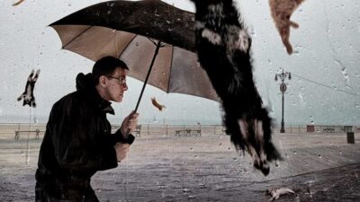 Dünya genelinde zaman zaman karşılaşılan ve görenleri hayrete düşüren “hayvan