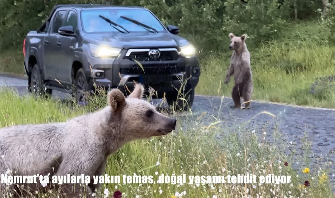 Yuv BİTLİS – Ahlat, Güroymak ve Tatvan ilçeleri sınırları içinde