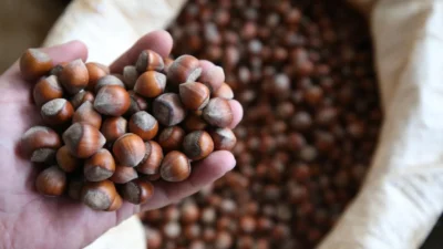 Ekonomi gündeminde hem Borsa İstanbul’dan gelen şirket haberleri hem de