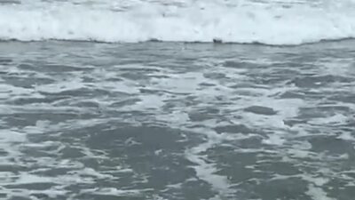 Levent KIZILASLAN/KARASU (Sakarya), – SAKARYA’nın Karasu ilçesinde girmenin yasak olduğu