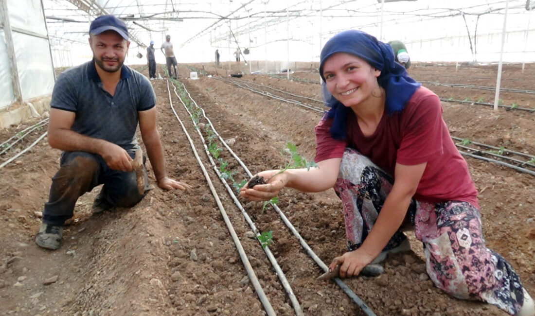 Ramazan SARIKAYALI/KUMLUCA (Antalya), – TÜRKİYE’deki örtü altı üretimin merkezlerinden Antalya’nın