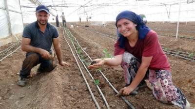 Ramazan SARIKAYALI/KUMLUCA (Antalya), – TÜRKİYE’deki örtü altı üretimin merkezlerinden Antalya’nın