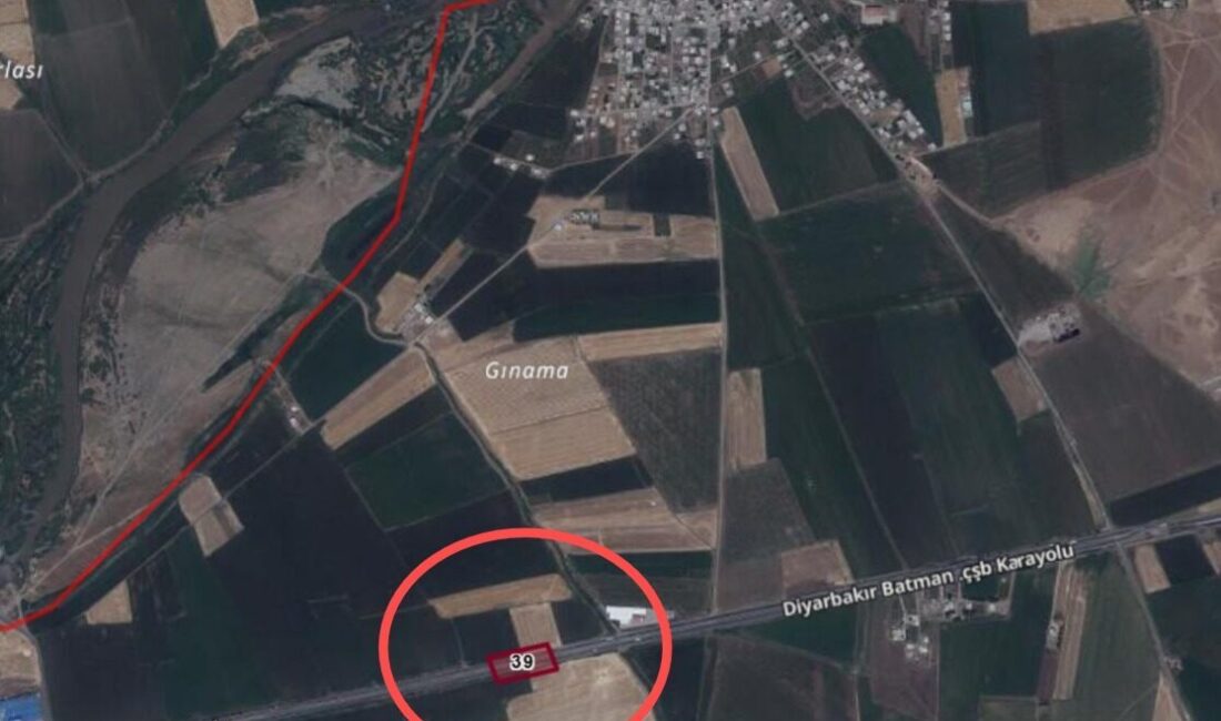 Seyfettin EKEN-Gıyasettin TETİK/DİYARBAKIR, – DİYARBAKIR Kadastro Mahkemesi’nde 1962’de açılan miras