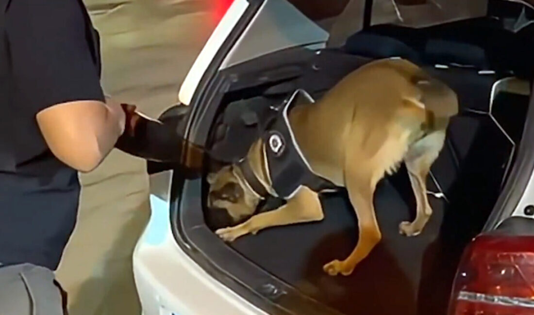 ANKARA, – İÇİŞLERİ Bakanı Ali Yerlikaya, 74 ilde düzenlenen operasyonlarda